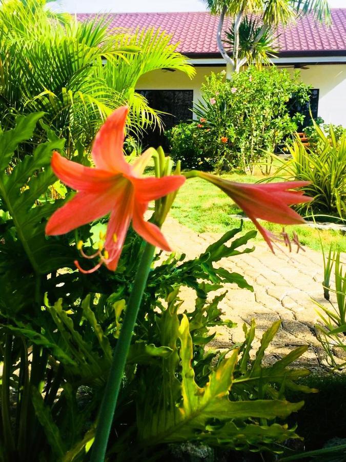 Resort Cabagnow Seaside